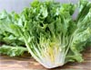 Escarole